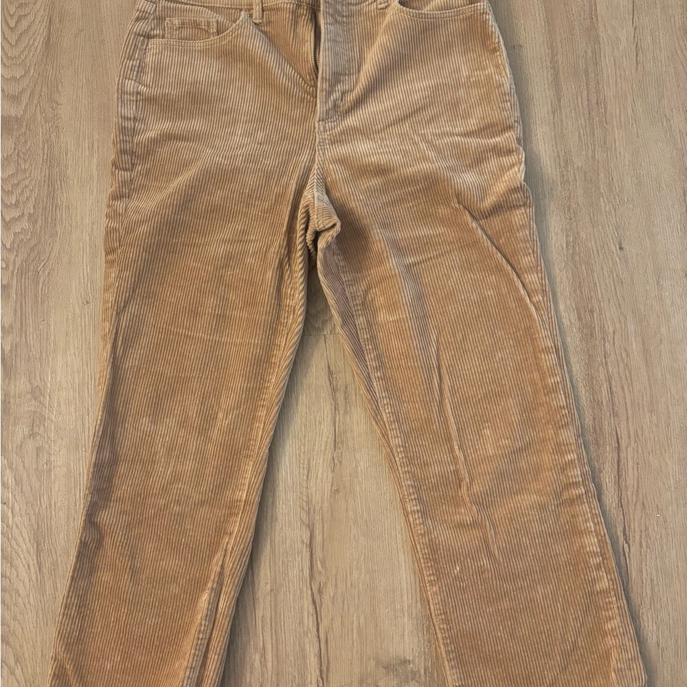 LOFT Camel Corduroy Pants